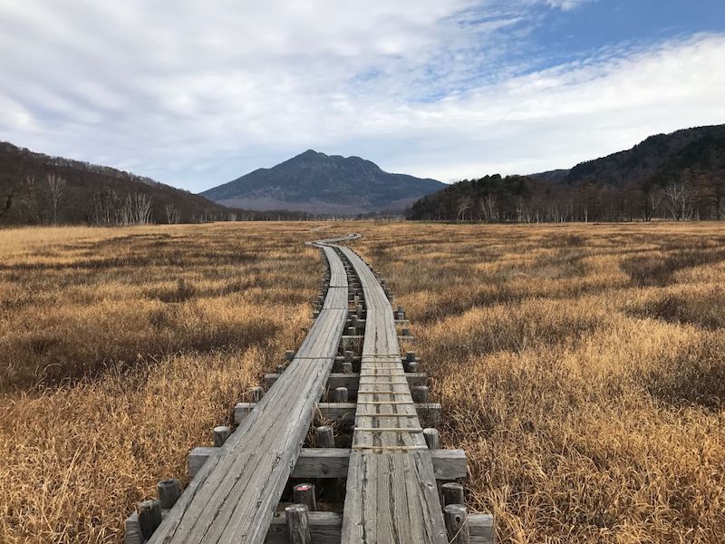 Traverse the Ozegahara Marshland via a long wooden walkway, to see hundreds of small pools. u00e2u20acu201d TODAY pic