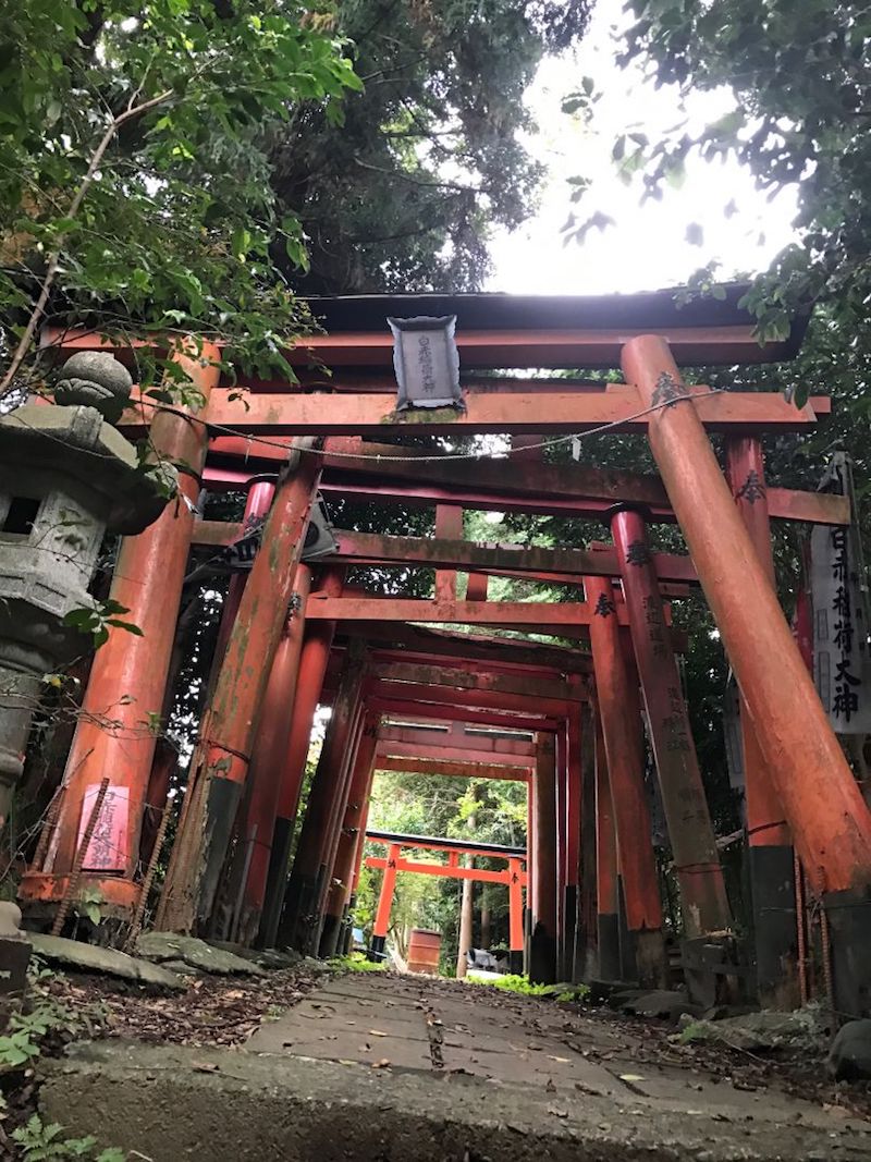 To get to Fushimi Hakuseki Inari Shrine, you will need to walk about 20 minutes through a tiny town to a small hill. — TODAY pic