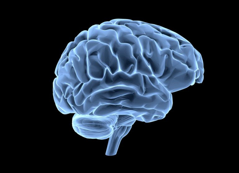 New imaging techniques are allowing researchers to explore the brain in much more detail than ever before. u00e2u20acu201d Picture by goa_novi/Istock.com via AFP