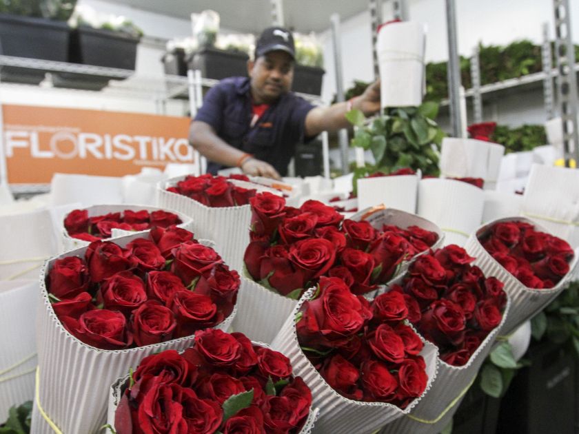 Flowers on display for sale ahead of the Valentines's Day at Floristika in Bangsar February 13, 2017. u00e2u20acu201d Picture by Yusof Mat Isa