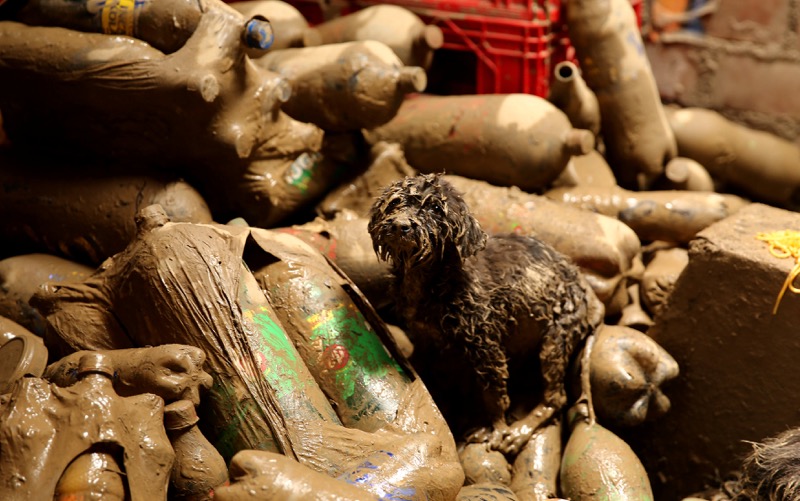 A dog stands at the debris of a destroyed home, after rivers breached their banks due to torrential rains, causing flooding and widespread destruction in Huachipa, Lima, Peru, March 19, 2017. — Reuters pic