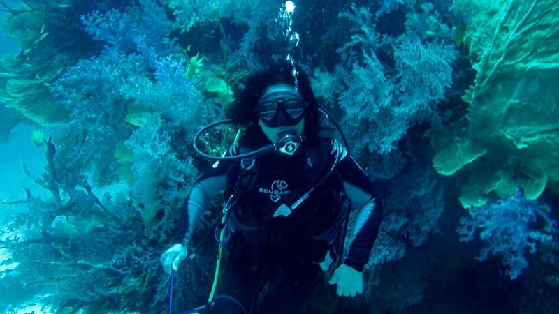 In a post on Facebook last night, former international trade and industry minister Tan Sri Rafidah Aziz shared her joy in learning how to scuba dive and seeing life 15 feet underwater. u00e2u20acu201d Picture via Facebook/Rafidah Aziz Malaysian Citizen