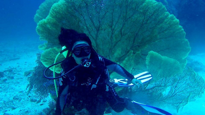 Tan Sri Rafidah Aziz said she saw 'beautiful corals' and many different fishes, including garden eels.