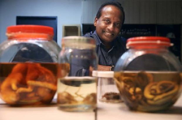 Thomas Fernandez, founding chairman of PestBusters.