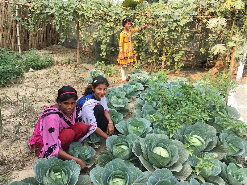 Young girls pose as they tend to vegetables they are growing as part of the Girlsu00e2u20acu2122 Project that teaches land literacy and helps prevent trafficking and early marriage in Charmahatpur village in West Bengal state, India on February 13, 2017. u00e2u20acu201d Reuters 