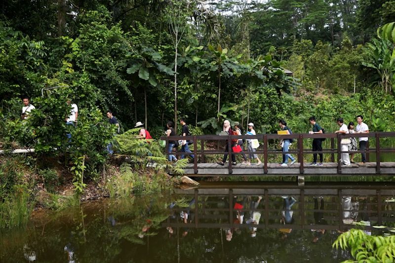 Members of the media walk through the Keppel Discovery Wetlands section of the Learning Forest. — TODAY pic