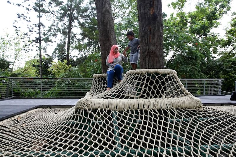 The Canopy Web at the SPH Walk of Giants section of the Learning Forest allows visitors to experience being up in a Tembusu tree. — TODAY pic