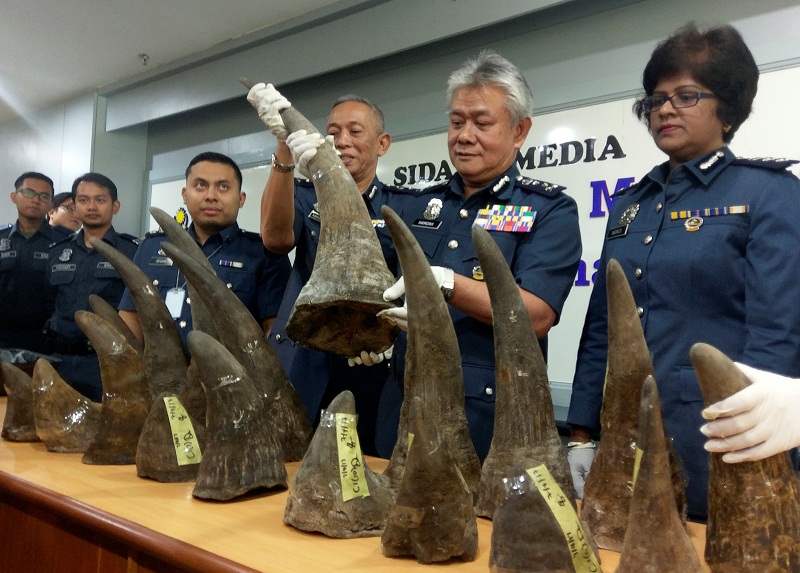 KLIA customs director-general Hamzah Sundang (second from right) poses with rhino horns that were seized on April 7 from Mozambique to Kuala Lumpur via Doha, during a news conference at the airport in Sepang April 10, 2017. u00e2u20acu201d Reuters pic