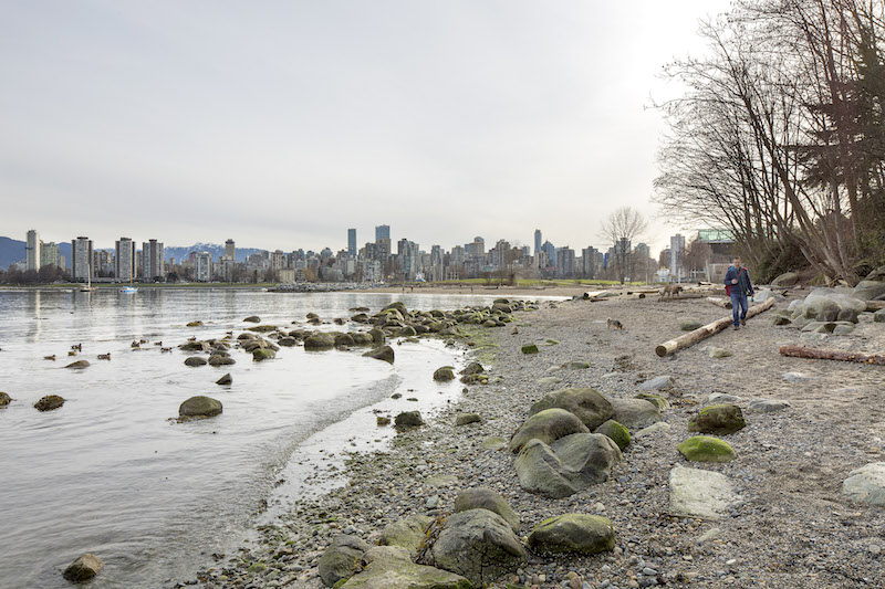 The skyline of Vancouver can seem on occasion like a glimmering mirage, a seam of mirrored glass suspended between what lies above and below. — Picture by Jeremy Bittermann/The New York Times