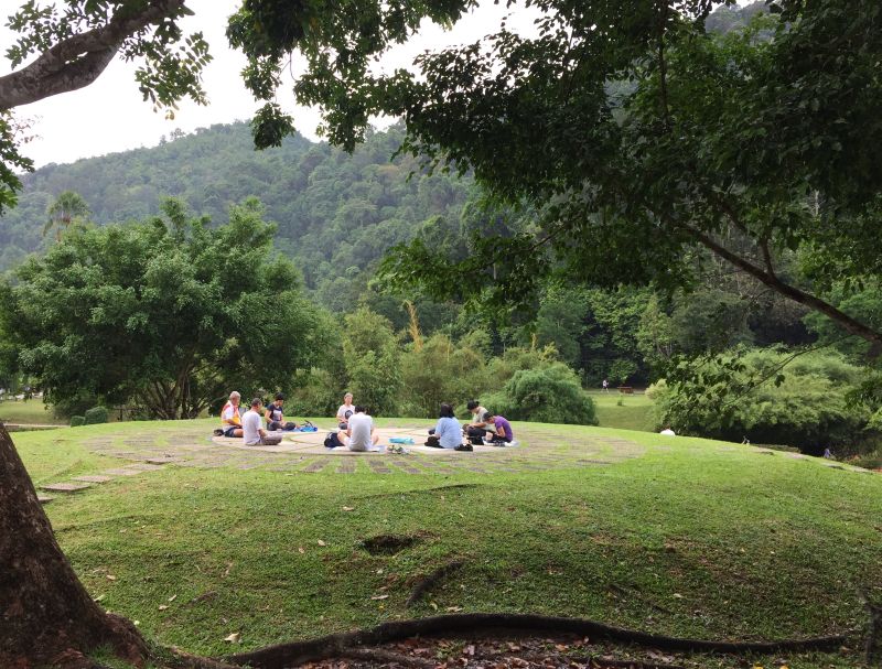 A group of people are seen meditating in the open area at the Penang Botanical Garden, April 26, 2017. u00e2u20acu2022 Picture by KE Ooi