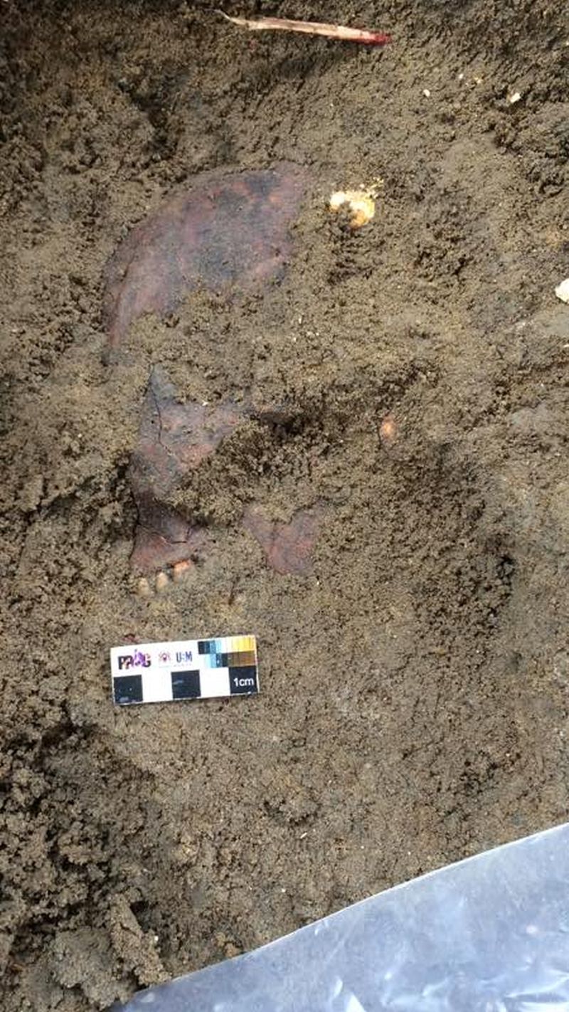 Parts of a skull revealed at the Guar Kepah neolithic site. located in north Seberang Perai, Penang. u00e2u20acu2022 Picture courtesy of Universiti Sains Malaysia's Centre for Global Archaeological Research