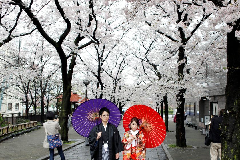 A couple poses for a photo with blooming cherry blossom trees in Kyoto April 7, 2017. u00e2u20acu2022 Reuters pic