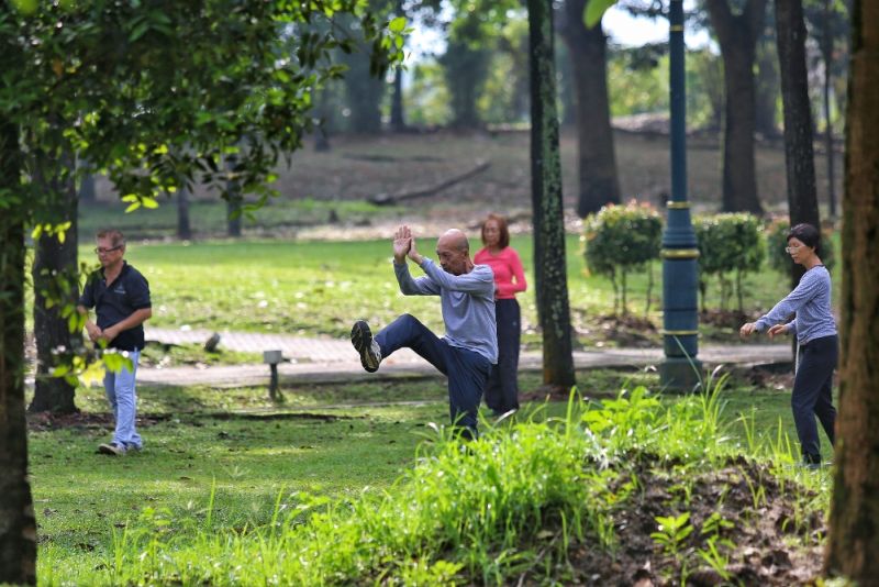 A group of senior citizens is seen practising Taichi at a park in Bukit Jalil, Kuala Lumpur April 13, 2017. u00e2u20acu2022 Picture by Saw Siow Feng