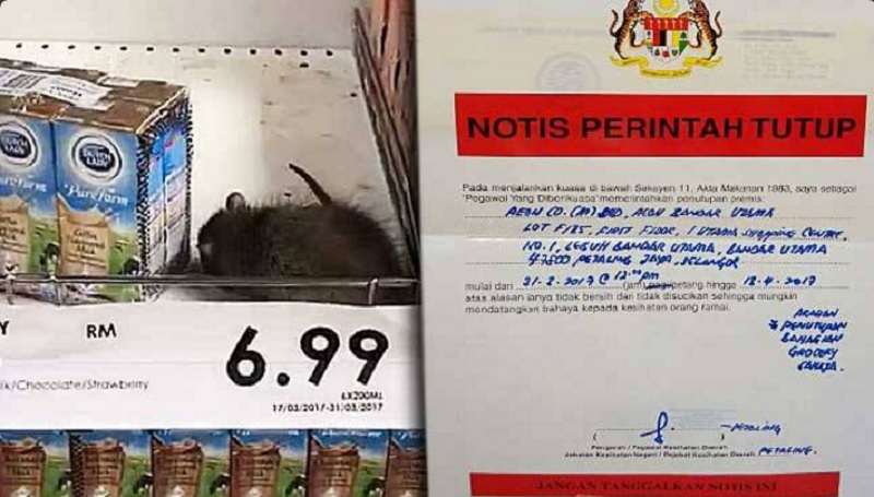 A popular grocery store was ordered to close for 14 days after pictures and videos showing a large and fat rat among the boxes of milk on the shelves spread on the internet. u00e2u20acu201d Picture via Twitter/Mat Dollah