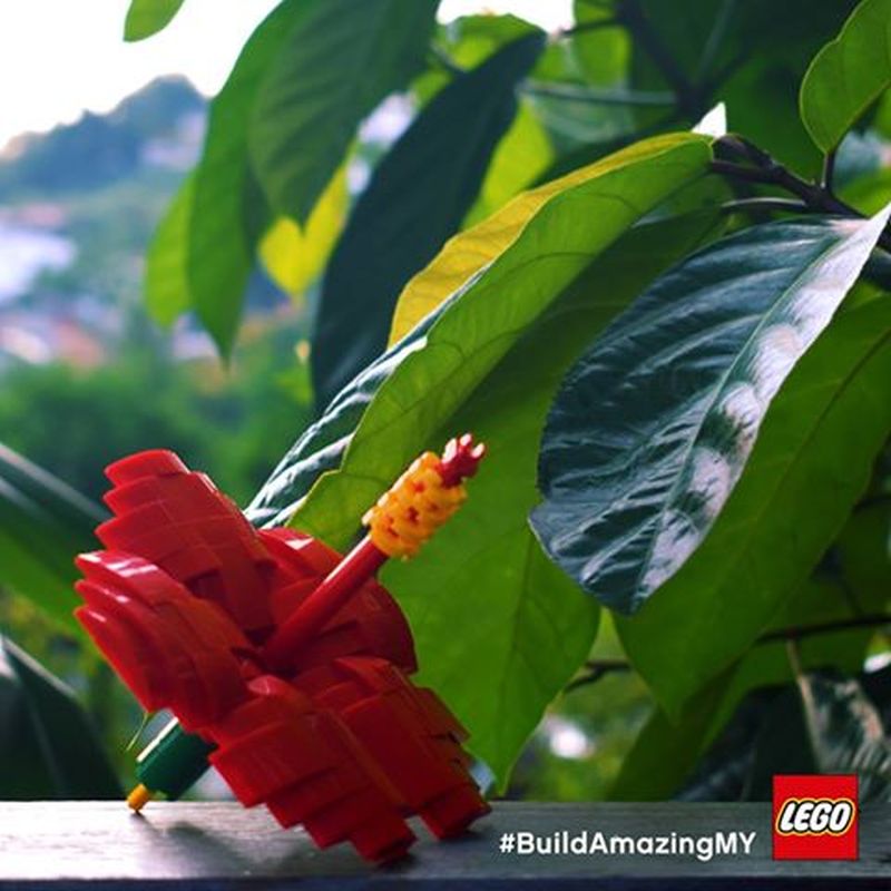 Lego Malaysia produce mini builds featuring the hibiscus. u00e2u20acu201d Picture via Facebook/Lego Malaysia