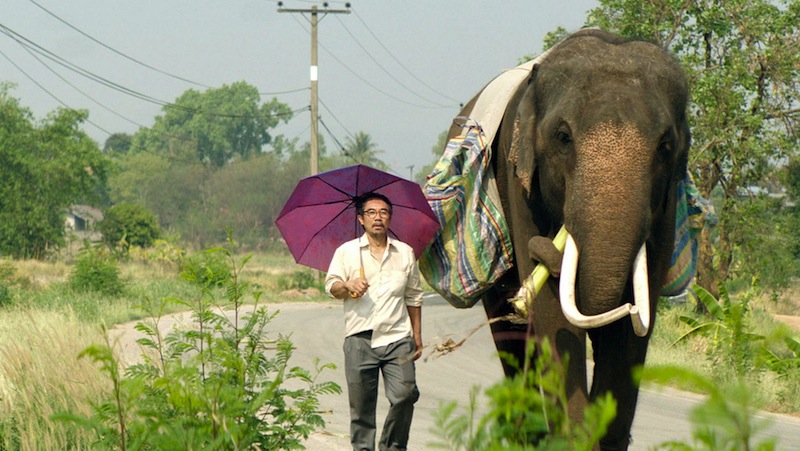 Filmmaker Kirsten Tan dedicated her latest win to her cast of actors, including Thai veteran singer-songwriter Thaneth Warakulnukroh and Bong the elephant. Producer Lai Weiji received the award on Tanu00e2u20acu2122s behalf. u00e2u20acu201d Picture by Giraffe Pictures