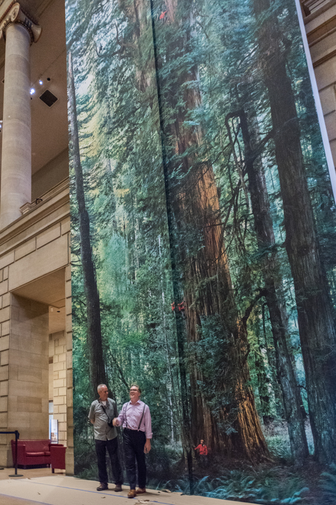 Artist Michael Nichols stands with curator Peter Barberie in front of his image of a 1,500-year-old Coastal Redwood, California, mounted at the Philadelphia Museum of Art. u00e2u20acu201d Picture courtesy of the Philadelphia Museum of Art, 2017.