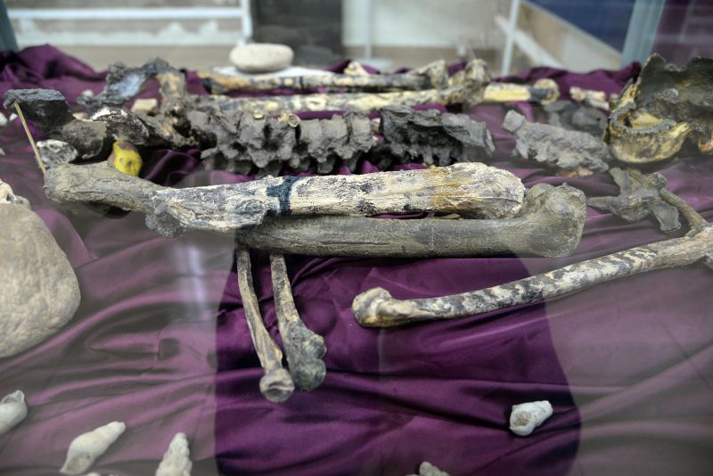 A replica of The Perak Man at the Archaeobiology gallery. 