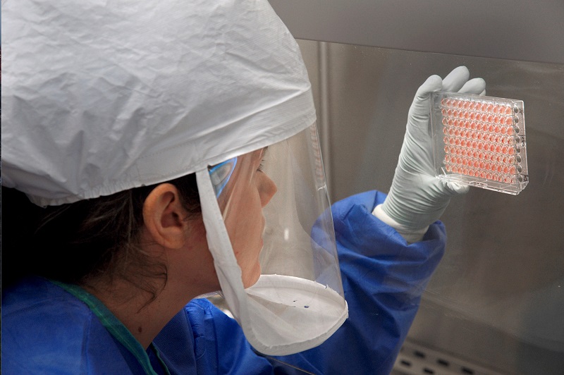 A Centres for Disease Control (CDC) scientist measures the amount of H7N9 avian flu virus which was grown and harvested in an unnamed CDC laboratory in 2013. u00e2u20acu201d James Gathany/CDC/Handout via Reuters