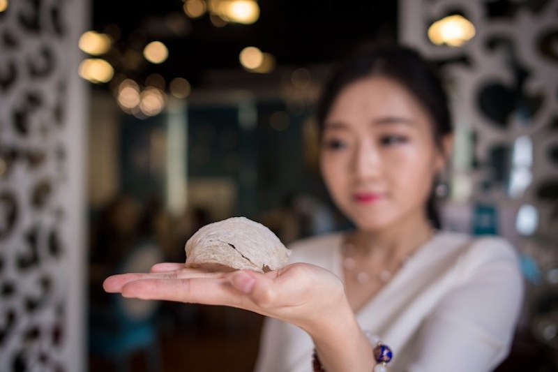 Elaine Zhang, owner of the NestCha restaurant, presents a dried bird nest in her restaurant in Shanghai May 23, 2017. u00e2u20acu201d AFP pic
