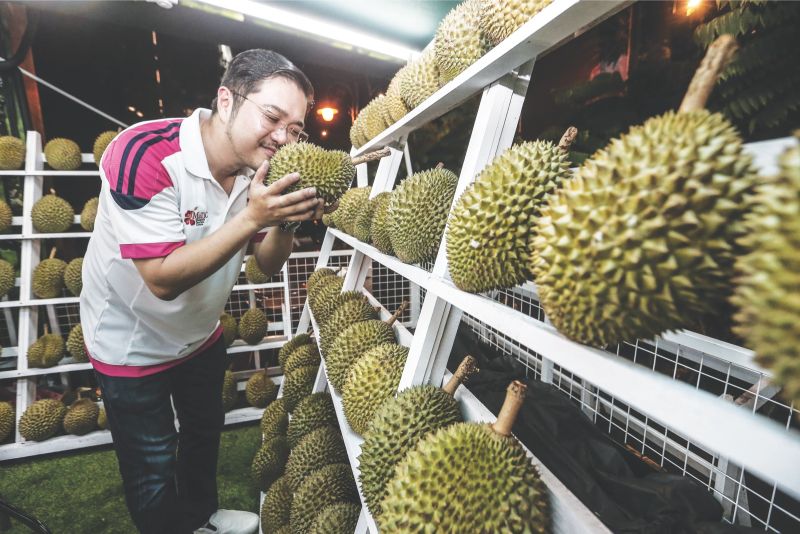 Ly takes a whiff of a durian at his fruit truck at the Malaysian Tourism Centre in Jalan Ampang on Sunday. u00e2u20acu201d Picture by Hari Anggara