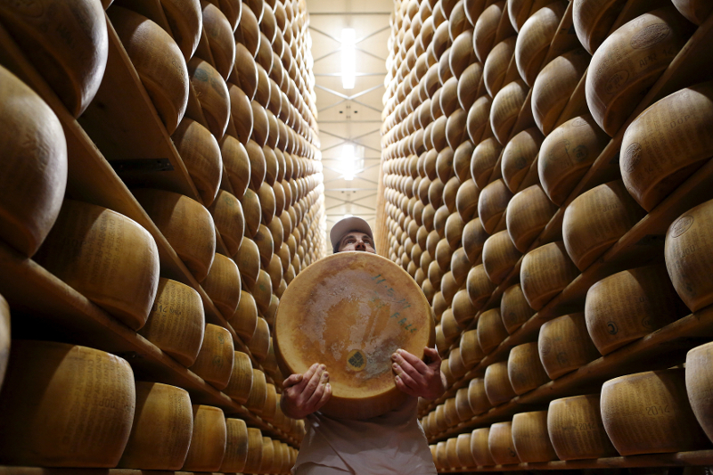 Worker carries fresh Parmesan wheel off storehouse shelf at 4 Madonne Caseificio dell'Emilia dairy cooperative in Modena February 16, 2016. u00e2u20acu201d Reuters pic