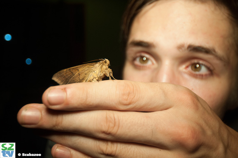 Jack Devlin, a bug boffin at the Danau Girang Field Centre, looks into Sabahu00e2u20acu2122s lesser known insect population. u00e2u20acu201d Picture courtesy of Scubazoo