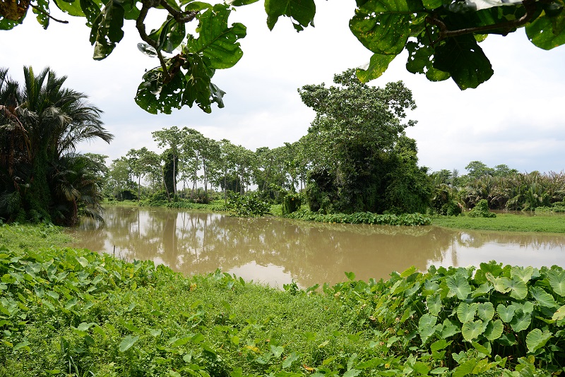 The Air Hitam Dalam node of the Sungai Perai can be further activated by restoring the Air Hitam Dalam Educational Forest. 