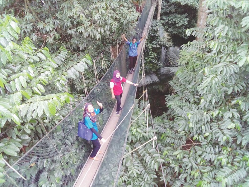 A final wave from three visitors among the last batch of those who crossed the canopy walkway yesterday. u00e2u20acu201d Picture by Malay Mail  