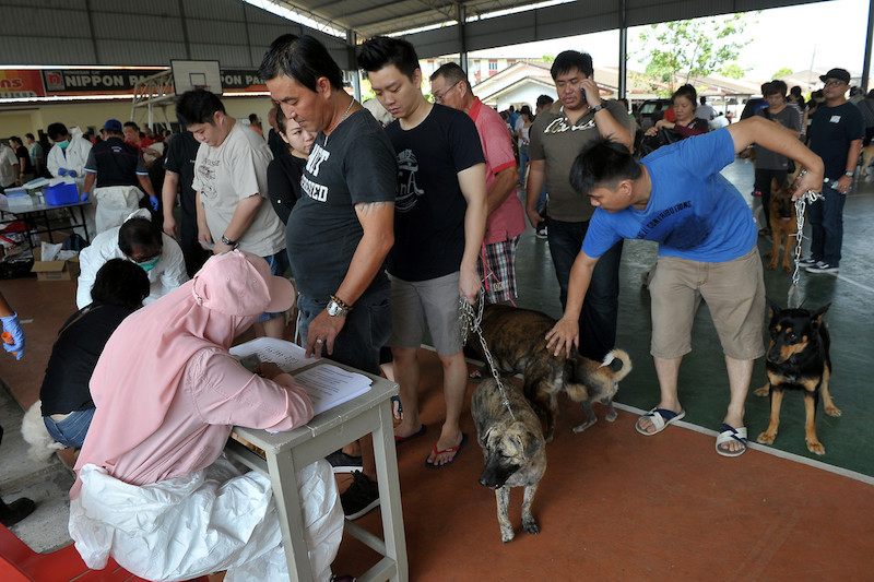 Members of the public bring their dogs in for vaccination by staff of the Sarawak Department of Veterinary Services at the Everbright Estate Basketball Court in Batu Kawa, Kuching July 29, 2017. u00e2u20acu201d Bernama pic