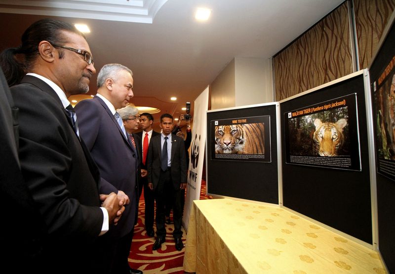 The Sultan of Perak Sultan Nazrin Shah (second left) visiting the Malayan tiger exhibition gallery at the Belum-Temengor Forest Complex, July 11, 2017. u00e2u20acu201d Bernama pic