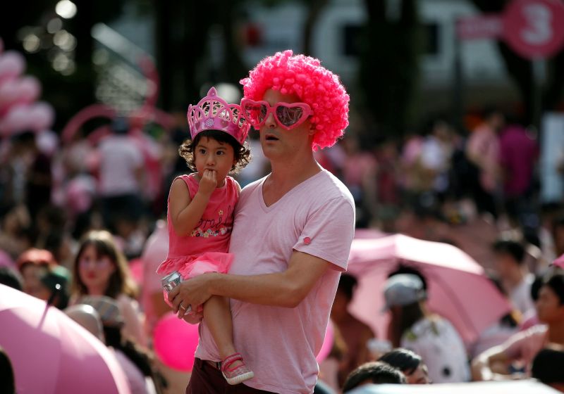 People attend the Pink Dot event, Singapore's annual gay pride rally, at a park in Singapore July 1, 2017. u00e2u20acu201d Reuters pic