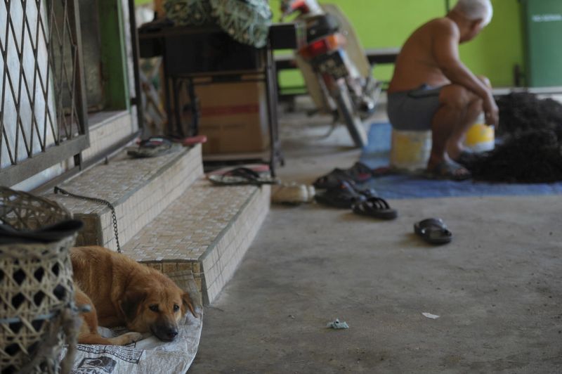 Dr Adrian said the department is working closely with the Serian Resident's Office, Serian District Office and the Serian District Council to contain the rabies outbreak. u00e2u20acu201d Bernama pic