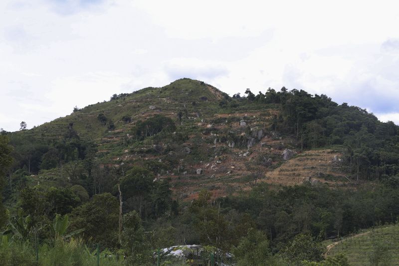 Bukit Broga di Semenyih yang dahulunya hijau kini ditarah untuk aktiviti tanaman getah. u00e2u20acu2022 Foto oleh Yusof Mat Isa