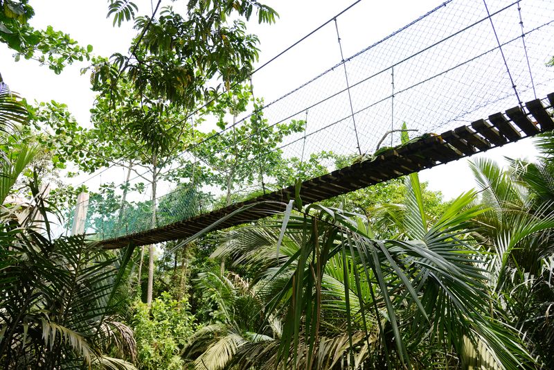 The suspension bridge is now closed to the public.