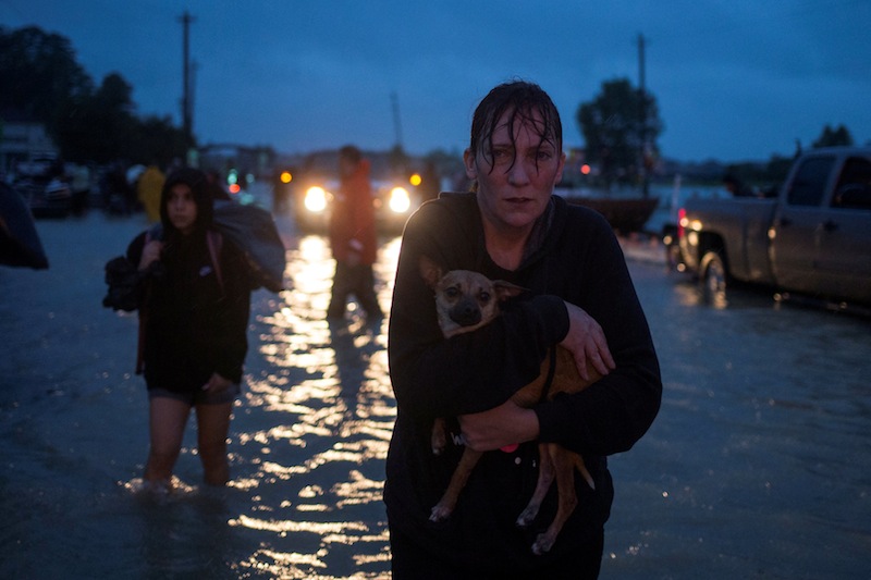 A woman holds her dog as she arrives to high ground after evacuating her home due to floods caused by Tropical Storm Harvey along Tidwell Road in east Houston, Texas, August 28, 2017. u00e2u20acu201d Reuters pic 