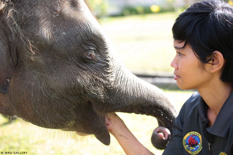 On the fringes of the Bornean jungle, Dr Laura Benedict and the WRU are all the family they have. u00e2u20acu201d Picture courtesy of WRU