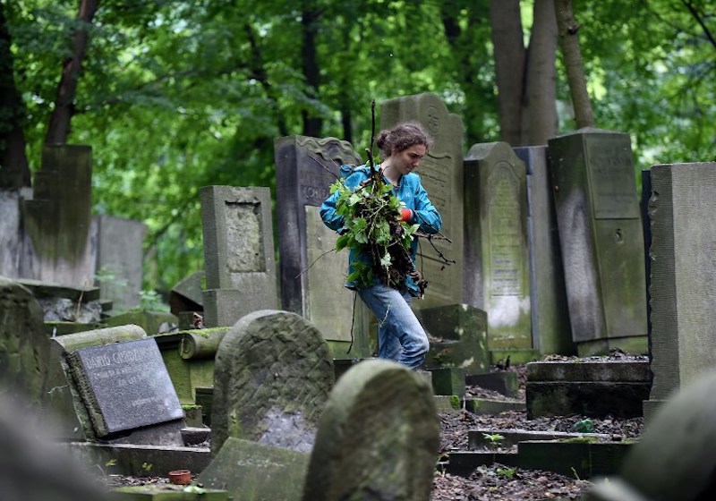 A woman works at Europe's largest Jewish cemetery in Warsaw on August 22, 2014.u00c2u00a0u00e2u20acu201d AFP pic
