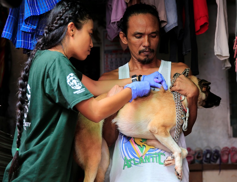 A member of Humane Society International administers the anti-rabies vaccine on a dog as part of their mass vaccination drive in commemoration to World Rabies Day in Payatas, metro Manila September 26, 2017.  u00e2u20acu201d Reuters pic