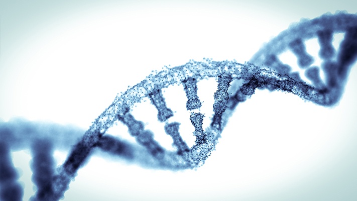 DNA resembles a zipper-like spiral u00e2u20acu201d the teeth on each strand are 'base pairs' of encoding 'letters' that chemically match with each other. u00e2u20acu201d from2015/Istock.com pic via AFPn