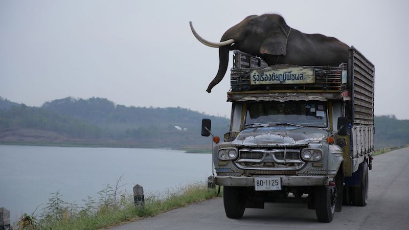 Kirsten Tanu00e2u20acu2122s debut feature-film u00e2u20acu02dcPop Ayeu00e2u20acu2122 has been selected to be Singaporeu00e2u20acu2122s submission for the Foreign Language Film category of the 90th Academy Awards. u00e2u20acu201d TODAY pic