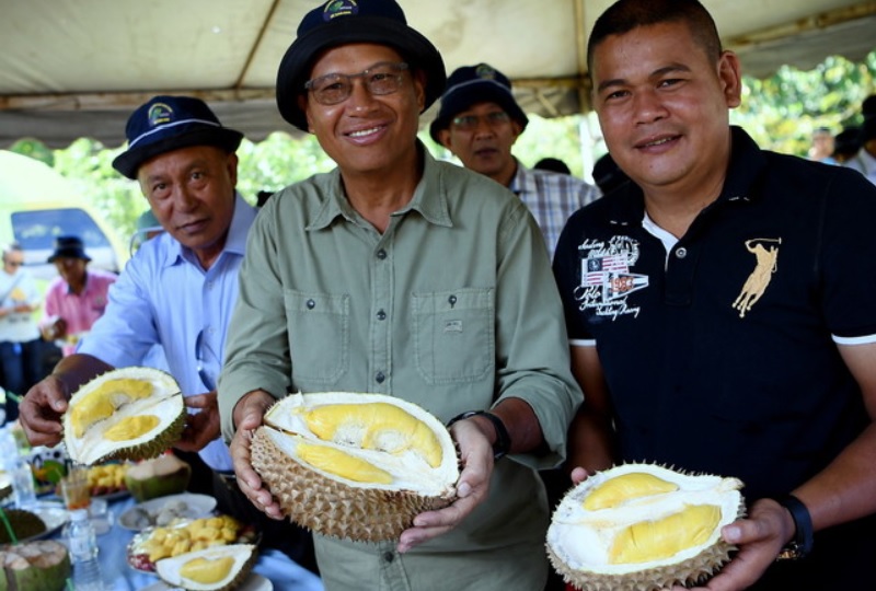RAUB, 29 Okt -- Menteri Pertanian dan Industri Asas Tani Datuk Seri Ahmad Shabery Cheek (tengah) bersama Pengerusi Jawatankuasa Koperasi, Keusahawanan dan Kepenggunaan Pahang Datuk Seri Shahiruddin Ab Moin (kiri) dan pemilik kebun Zamri Othman menunjukkan