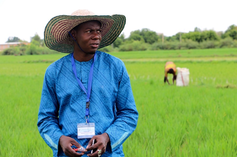 An OpenStreetMap u00e2u20acu02dcinvestigatoru00e2u20acu2122 plots rice fields in a district of Niamey, Niger, September 9, 2017. u00e2u20acu201d Thomson Reuters Foundation pic