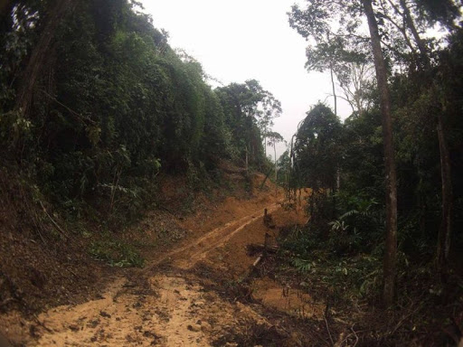 Laluan lori balak di kawasan Merapoh, Kuala Lipis seperti dimuat Laili Basir di Facebooknya, 13 Oktober 2017. 