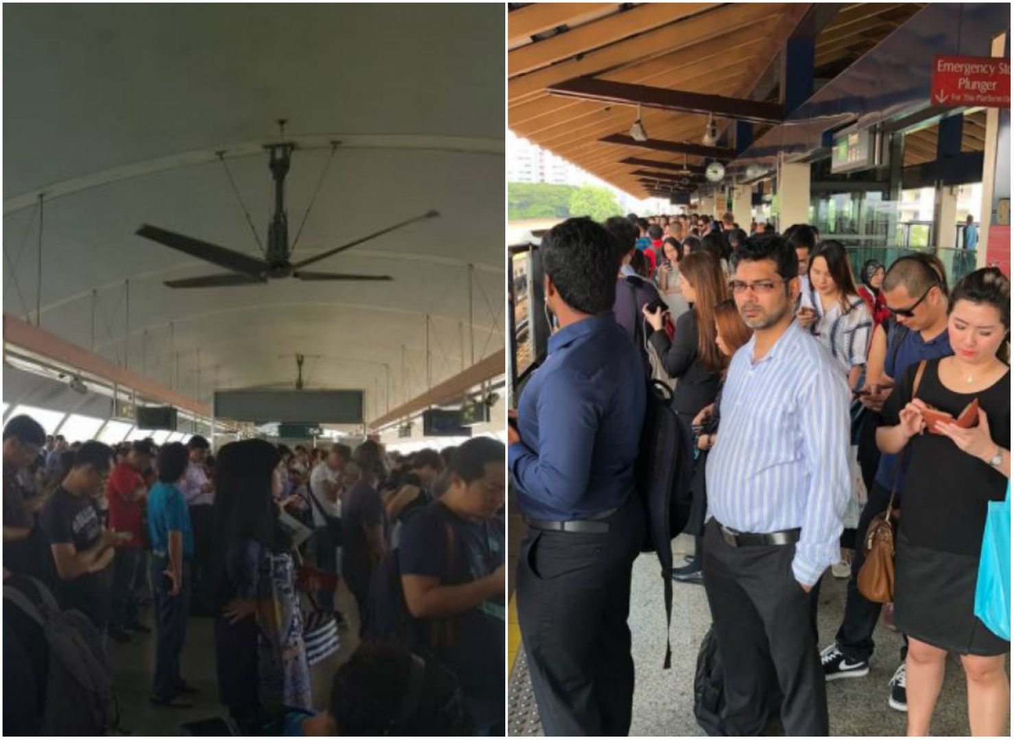 Twitter screencaps via Liane Ng, Farah Daley. u00e2u20acu201d Picture via TODAY