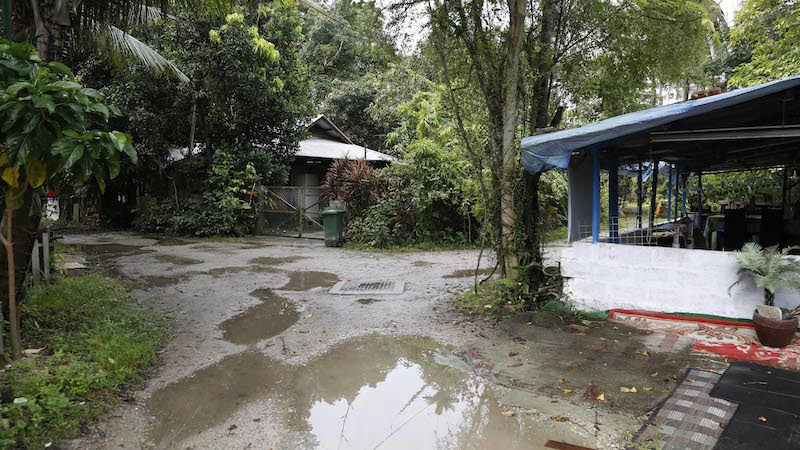 Visitors to Kampung Buangkok included students on excursions, tourists from places like India, Japan and the United States, and other Singaporeans intrigued by kampung life. — TODAY pic