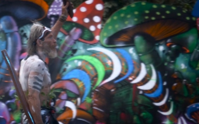 Screengrab from the Vimeo video on the Mushroom Valley music festival where the French women fell into a campfire and was seriously burned.