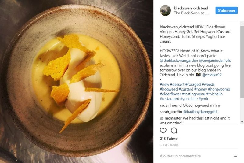 A screenshot of The Black Swanu00e2u20acu2122s Instagram page.