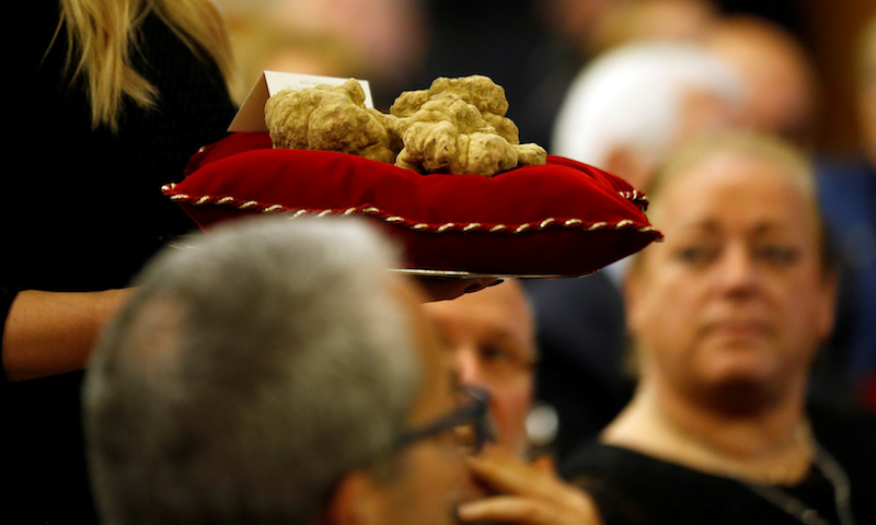 A hostess carries a set of truffles weighing 850g during the international auction for truffles at the Grinzane Castle in Grinzane Cavour near Alba, Italy, November 13, 2017. u00e2u20acu201d Reuters pic