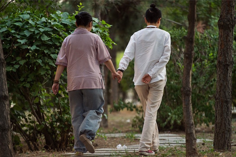 In this picture taken on July 3, 2017 Xiaoxiong (right) and Xiaojing walk in a park in Sheynyang. u00e2u20acu201d AFP pic